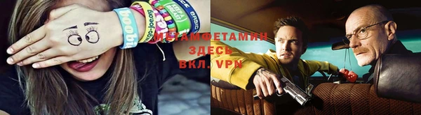 прущие грибы Алексеевка