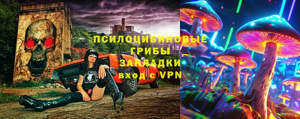 прущие грибы Алексеевка
